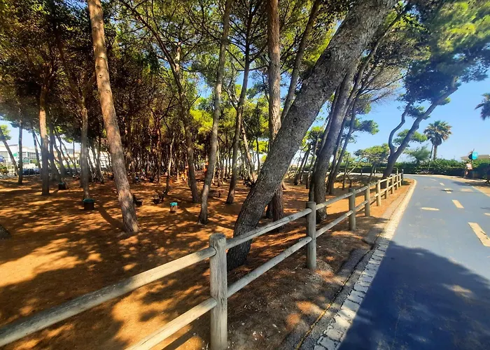 Pinolo Bilo Int 4 - Myho Casa דירה אלבה אדריאטיקה