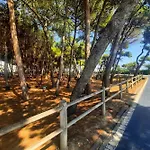 Pinolo Bilo Int 4 - Myho Casa Apartment Alba Adriatica