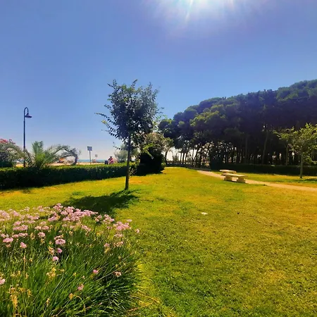 Pinolo Bilo Int 4 - Myho Casa * Alba Adriatica