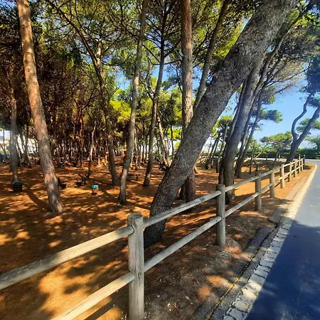 Pinolo Bilo Int 4 - Myho Casa 公寓 阿尔巴·阿德里亚蒂卡